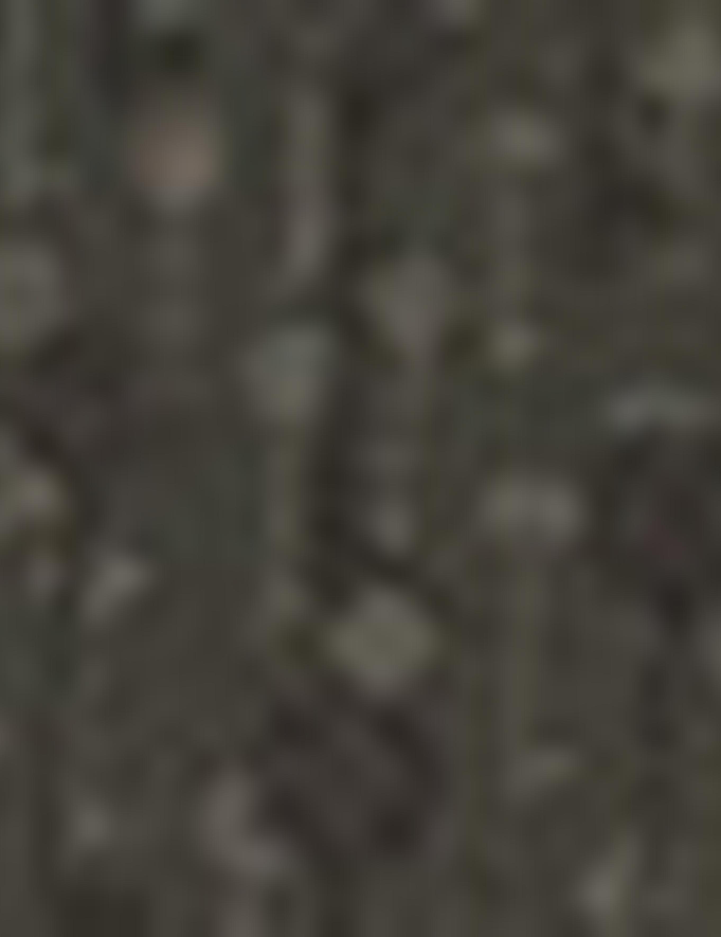 Haki Slim Fit Uzun Kollu Gömlek - 50210012038