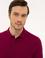 Polo Yaka Basic T-Shirt