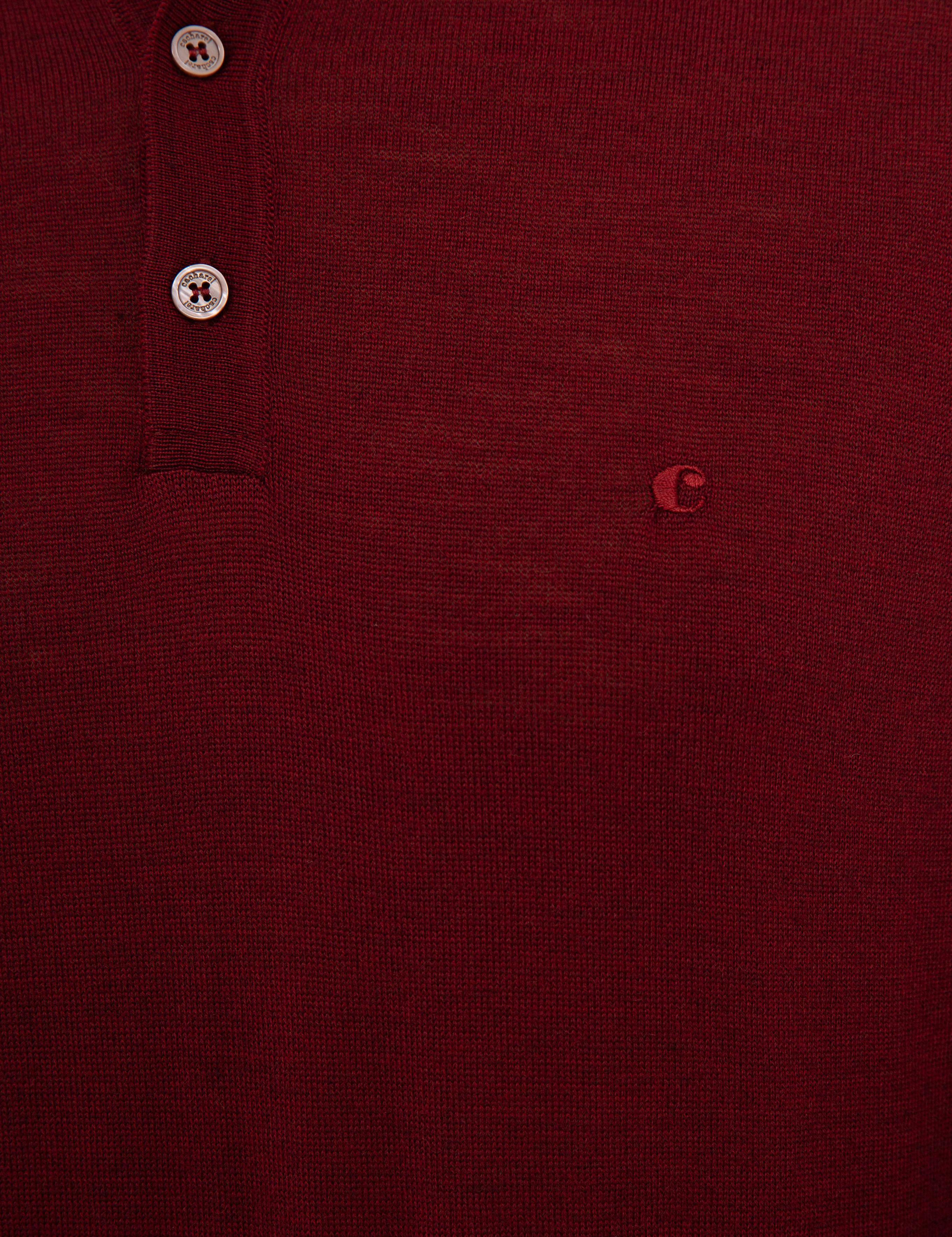 Bordo Slim Fit Polo Yaka Basic Triko Kazak - 50229756055