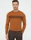 Taba Slim Fit Bisiklet Yaka Triko Kazak