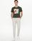 Taş Slim Fit Kanvas Pantolon