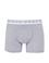 Gri Boxer