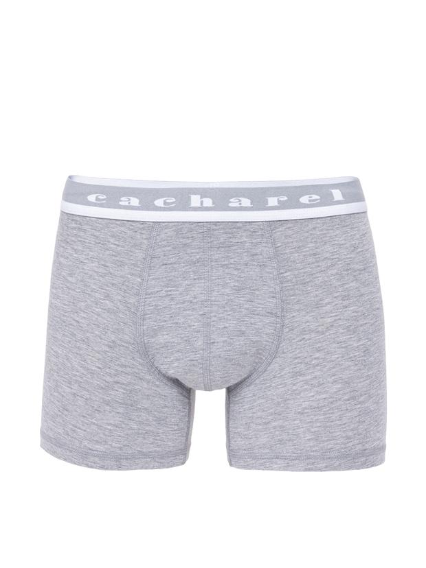 Gri Boxer