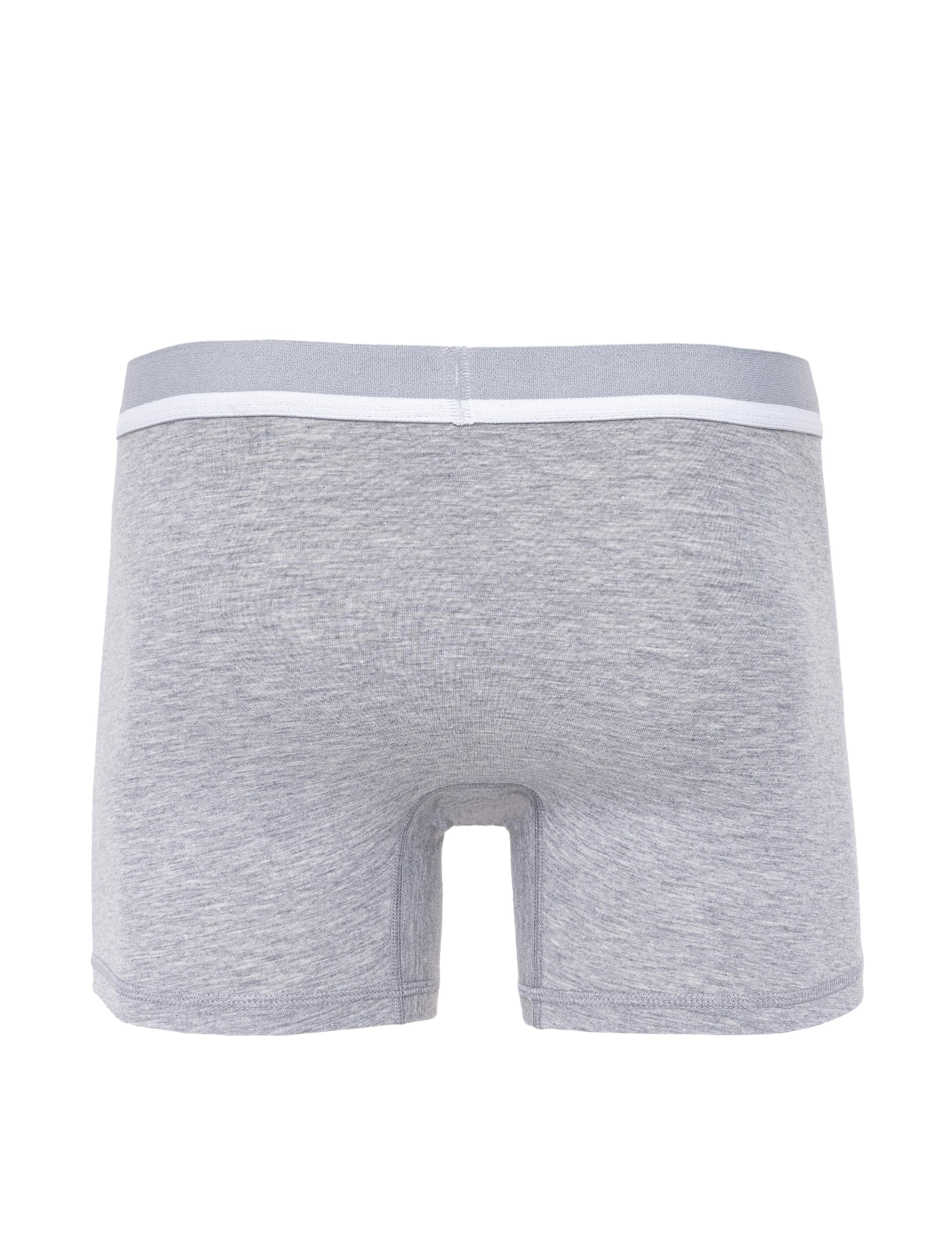 Gri Boxer - 50262800016