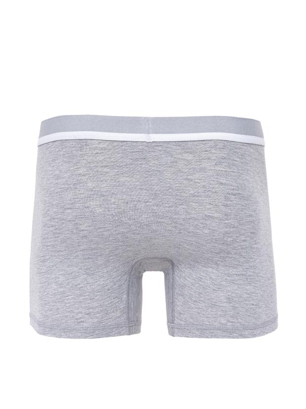 Gri Boxer