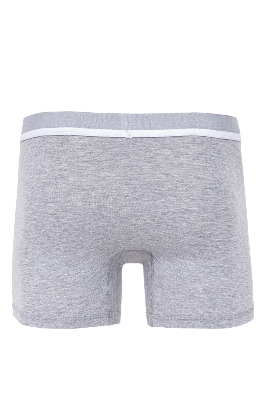 Gri Boxer - 50262800016