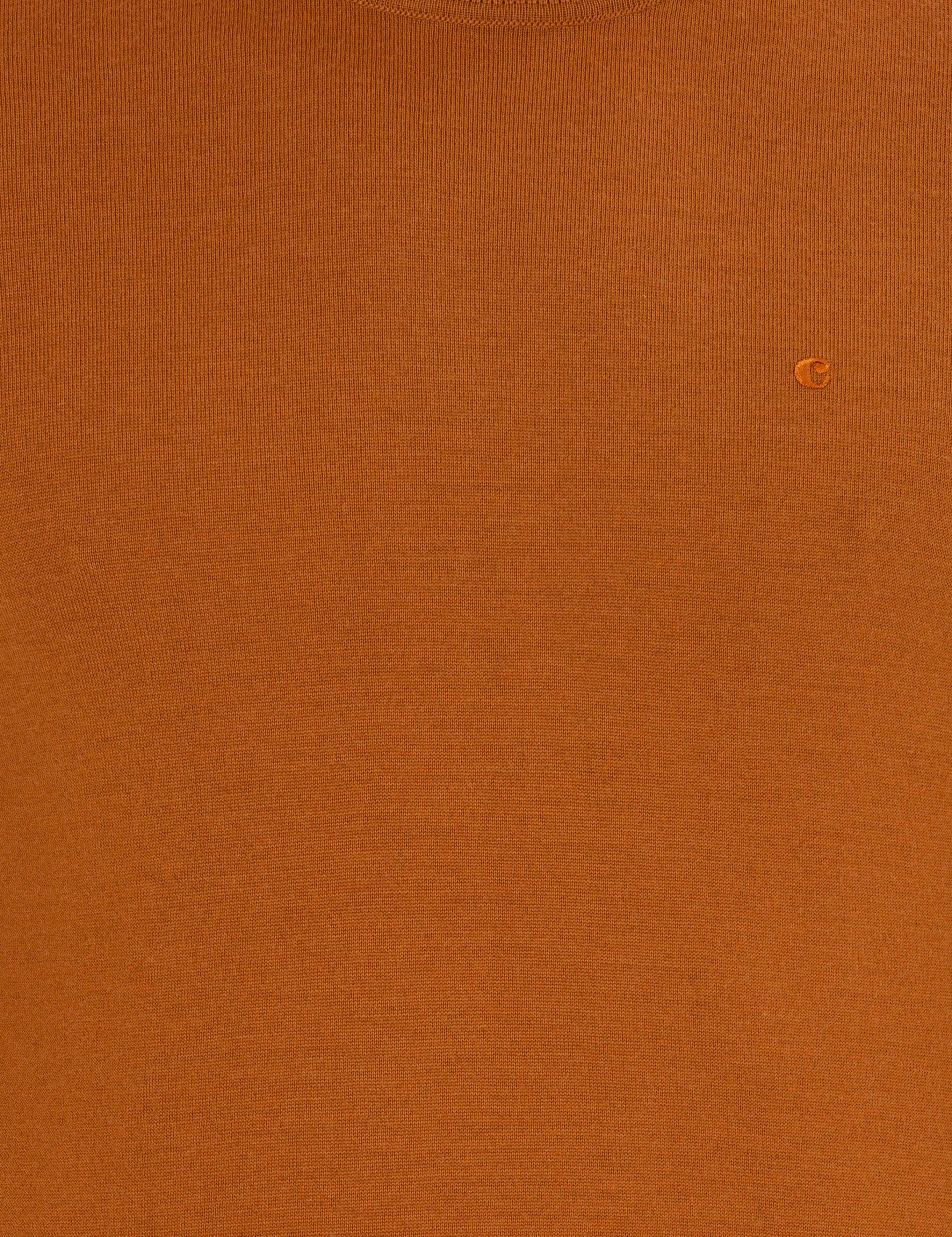 Tarçın Slim Fit Bisiklet Yaka Basic Triko Kazak - 50237038228