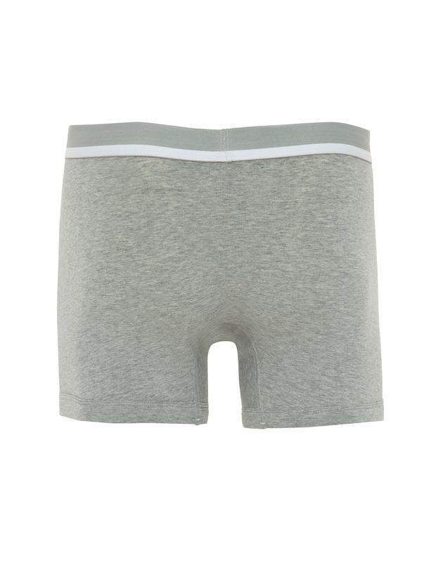 Gri Boxer
