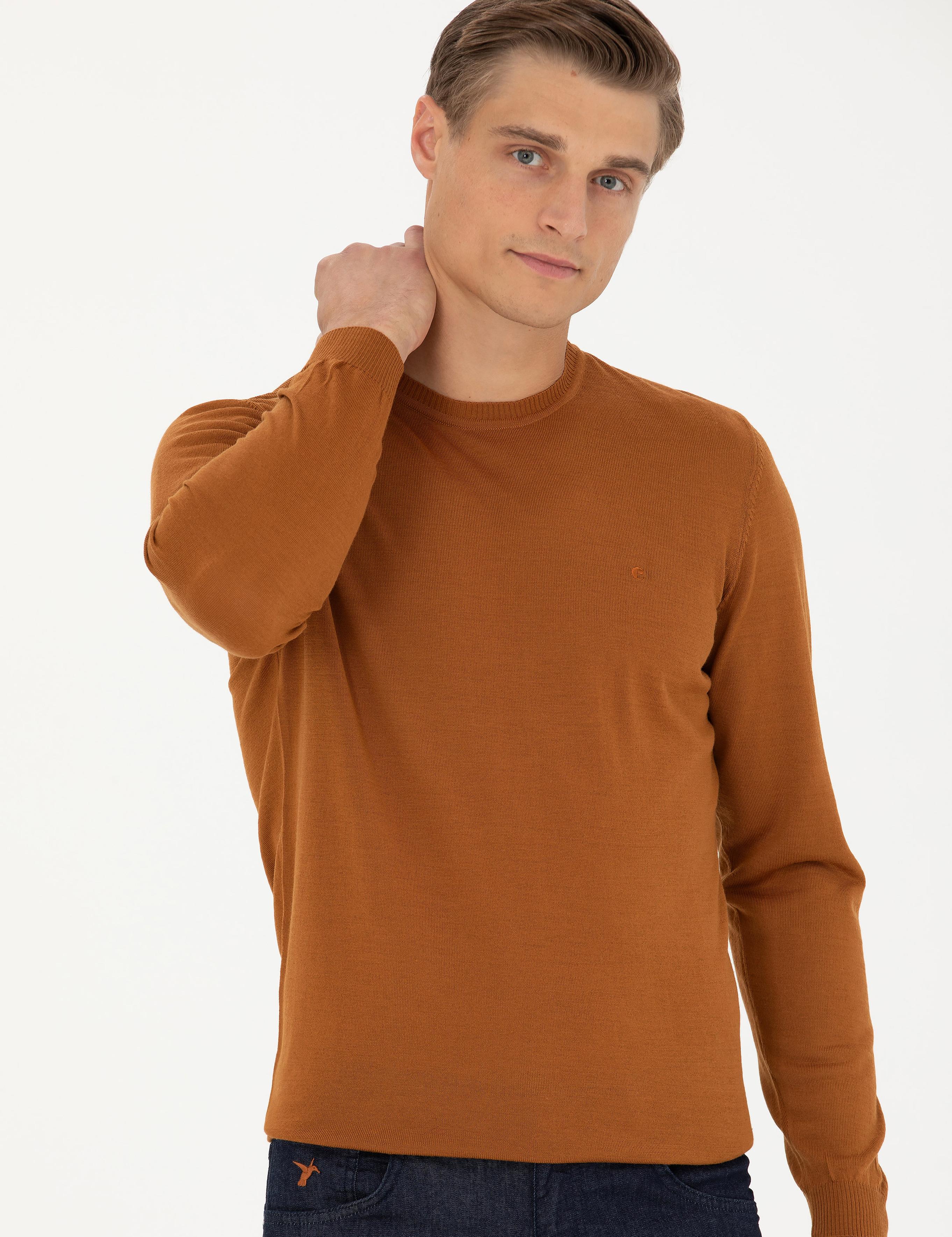 Tarçın Slim Fit Bisiklet Yaka Triko Kazak - 50270174137