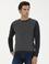 Antrasit Slim Fit %100 Pamuk Bisiklet Yaka Triko Kazak