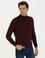 Bordo Slim Fit Pamuk Karışımlı Balıkçı Yaka Basic Triko Kazak