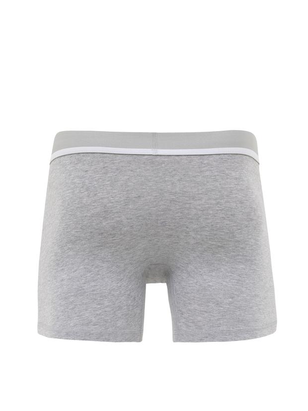 Gri Boxer
