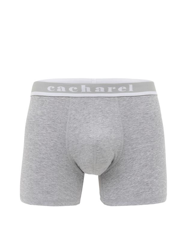 Gri Boxer