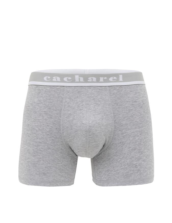 Gri Boxer