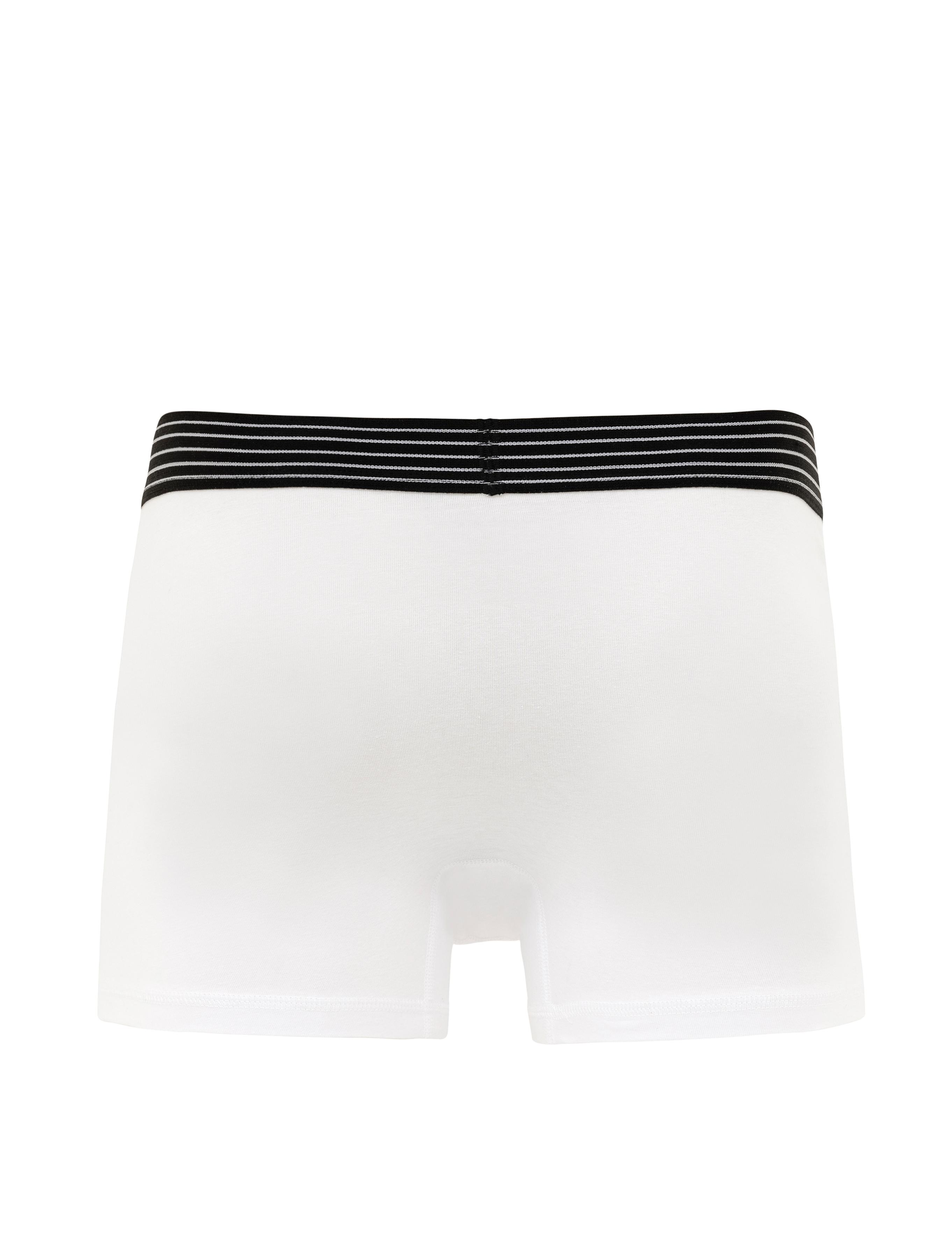 3'lü Renkli Boxer - 50291632006