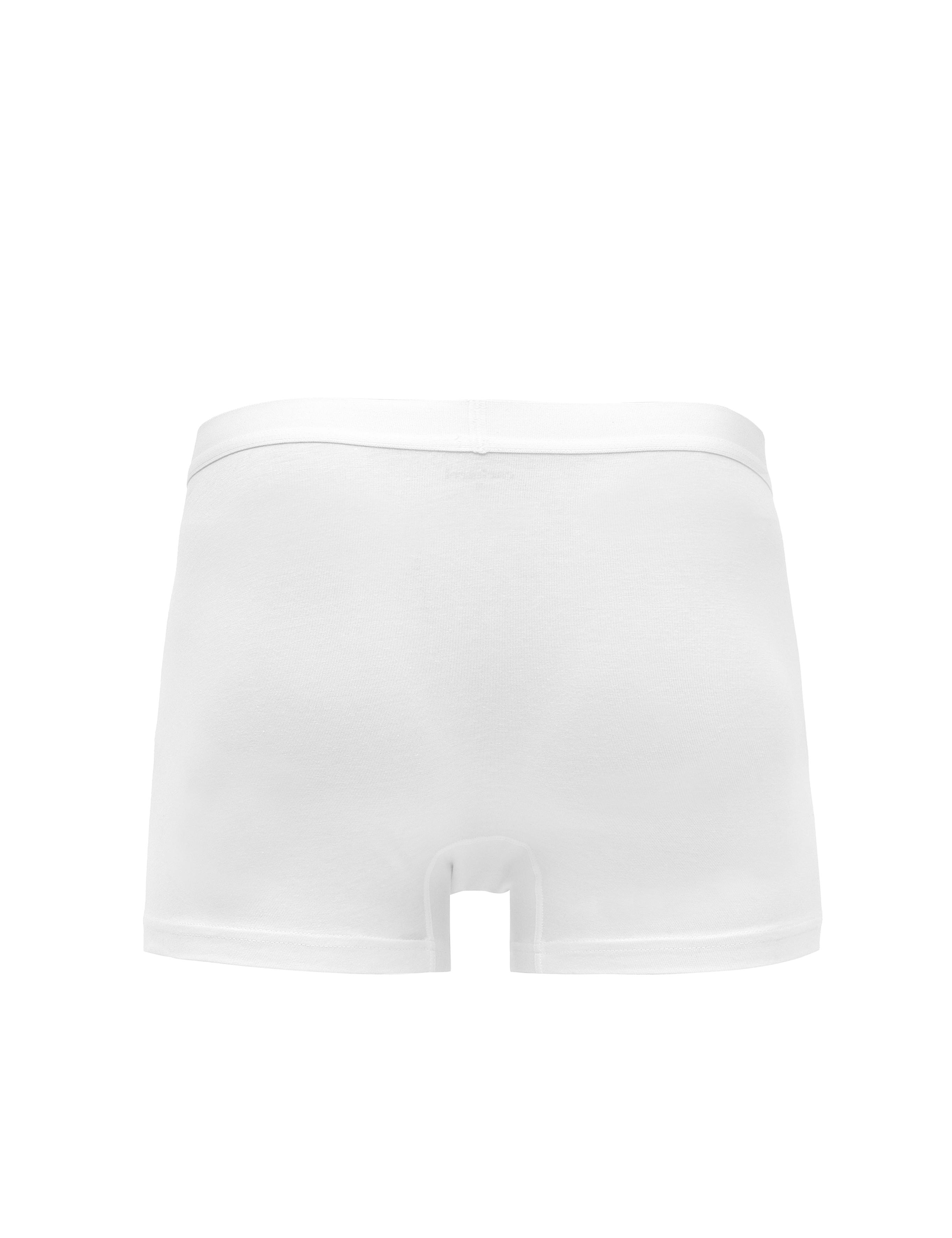 Beyaz Boxer - 50291633010