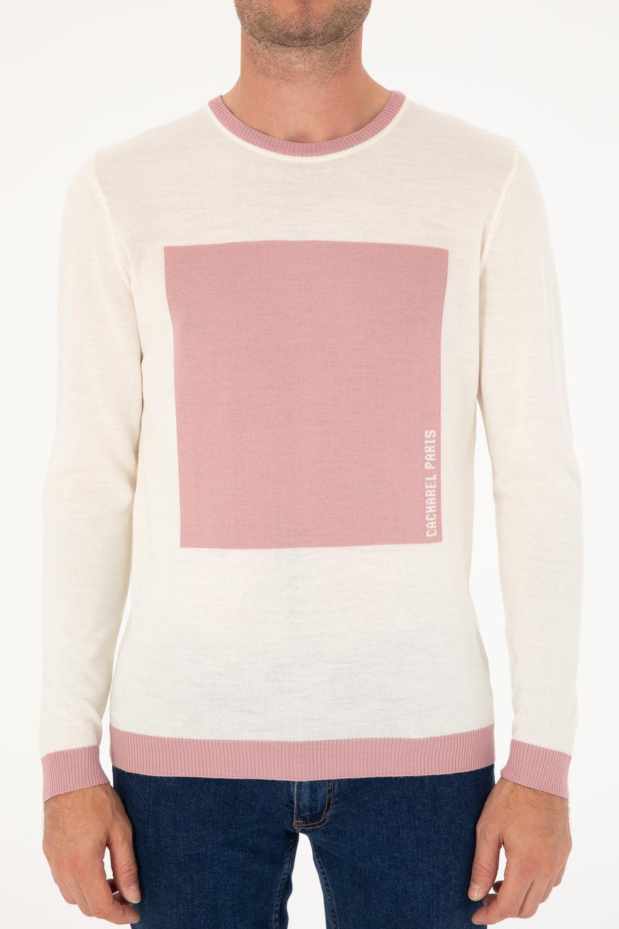 Pudra Slim Fit Yün Karışımlı Bisiklet Yaka Triko Kazak - 50271747091