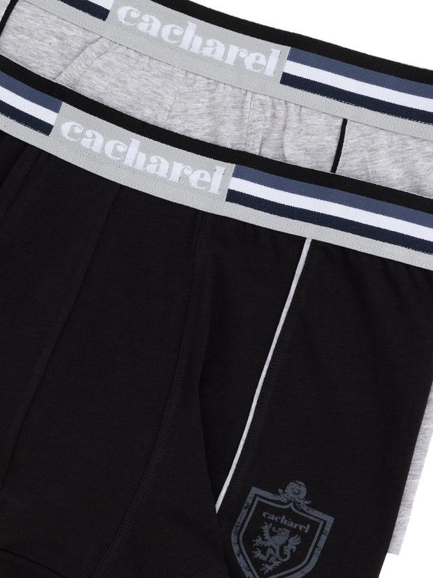2'li Boxer