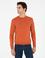 Turuncu Regular Fit Bisiklet Yaka Pamuklu Sweatshirt