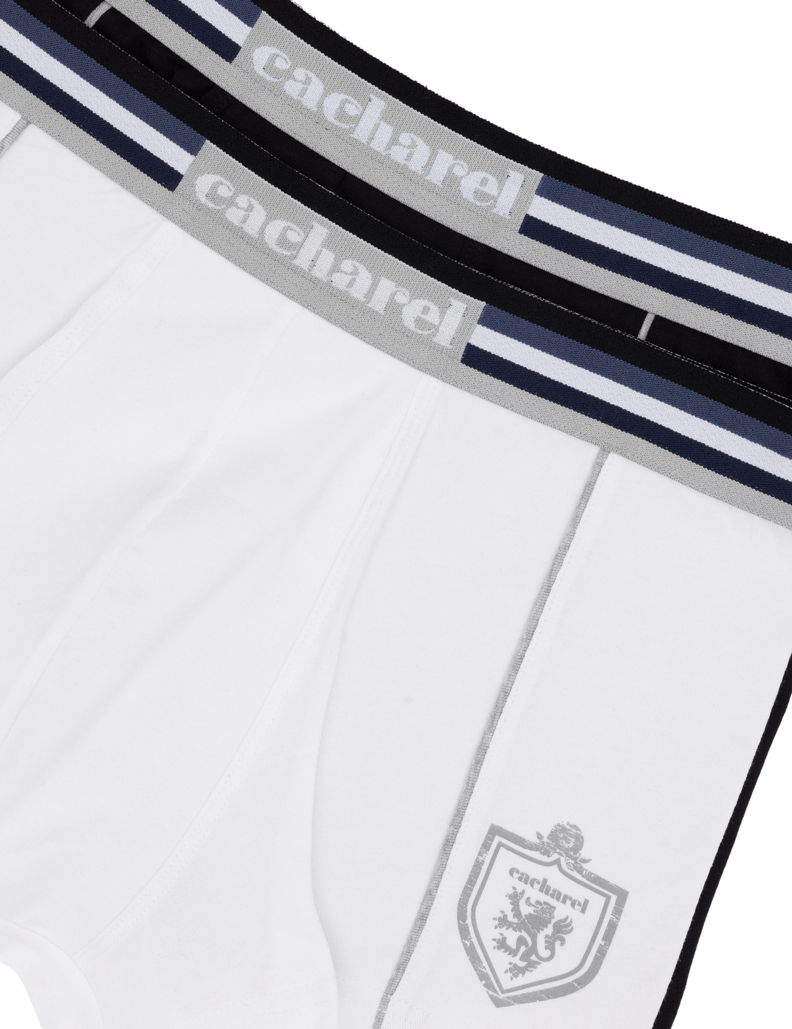 2'li Renkli Boxer - 50260424006
