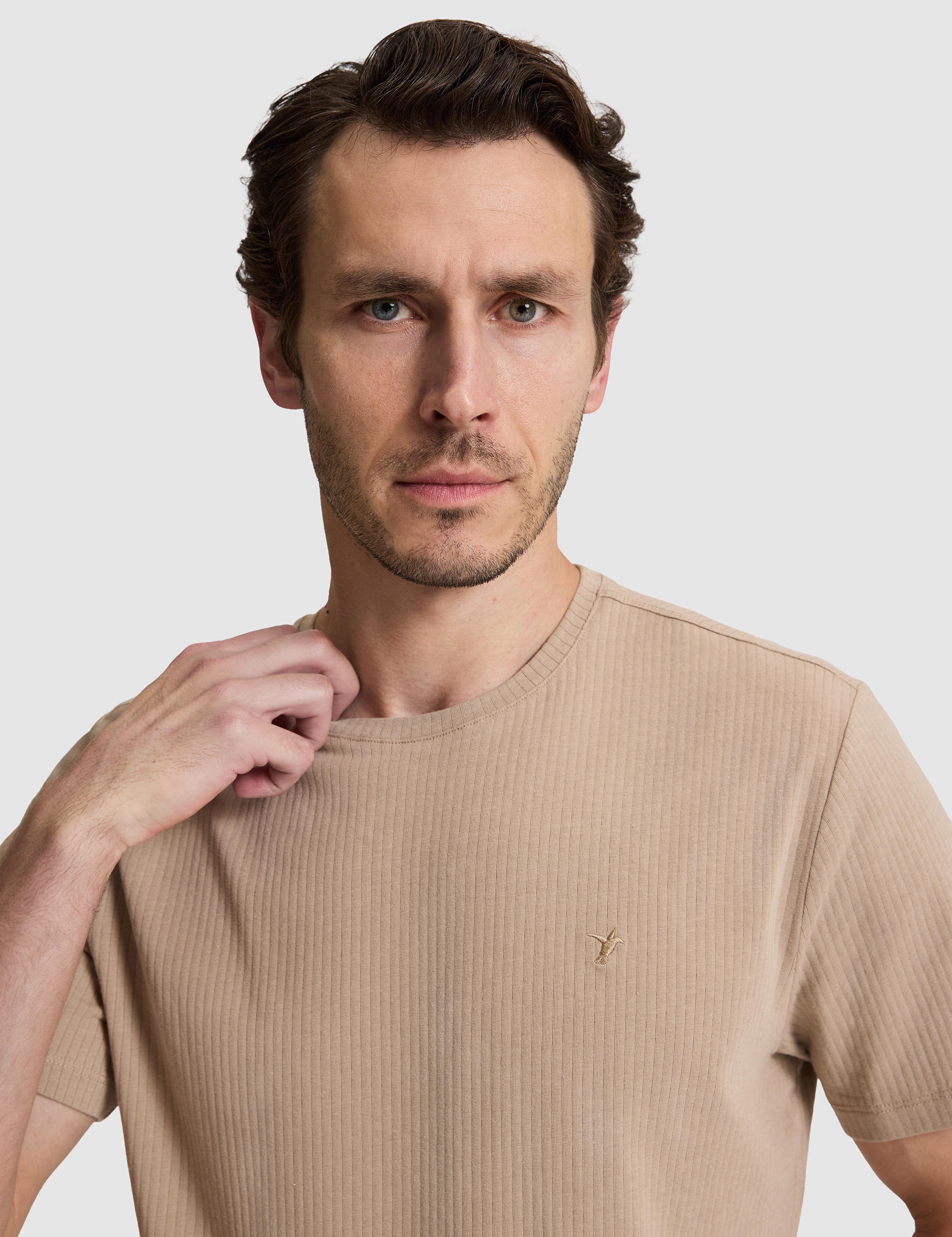 Vizon Regular Fit Pamuk Karışımlı Çizgili Bisiklet Yaka T-shirt - 50320530001