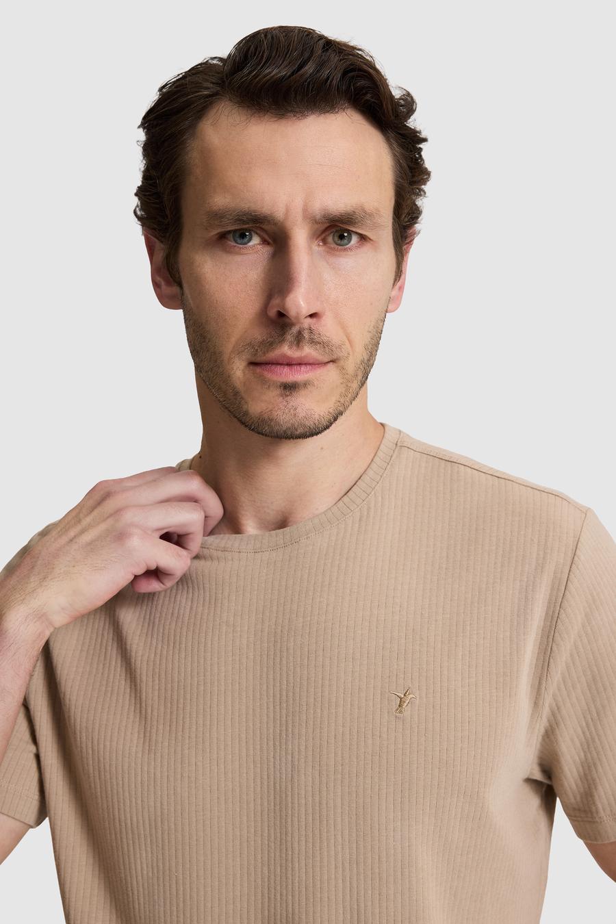 Vizon Regular Fit Pamuk Karışımlı Çizgili Bisiklet Yaka T-shirt - 50320530001