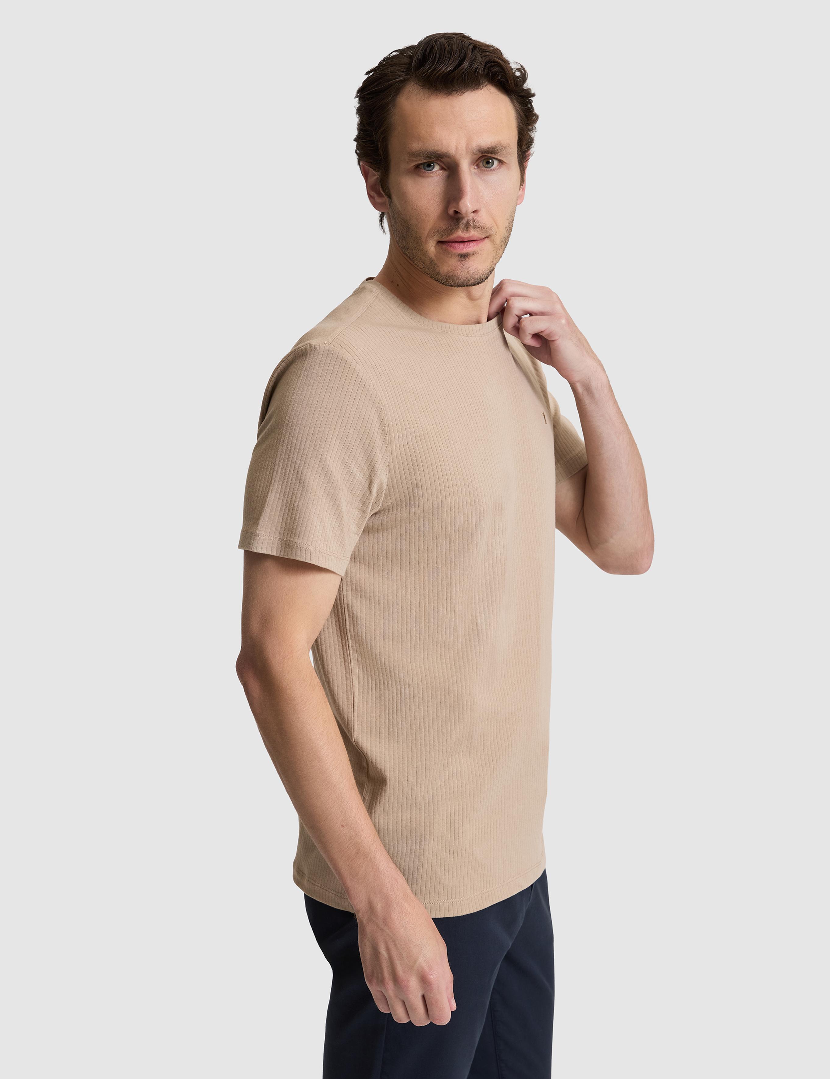 Vizon Regular Fit Pamuk Karışımlı Çizgili Bisiklet Yaka T-shirt - 50320530001