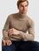 Camel Slim Fit Basic Kazak